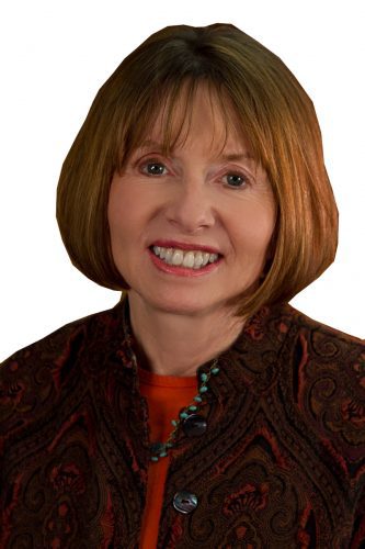 Cheryl Heitmann, Ventura City Council