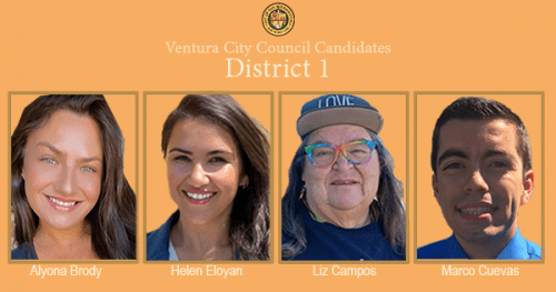 District 1 candidates top campaign issues