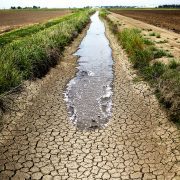 Ventura's water shortage