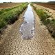 Ventura's water shortage