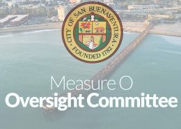 Oversight committee