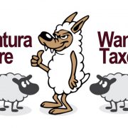 Ventura Wants More Taxes